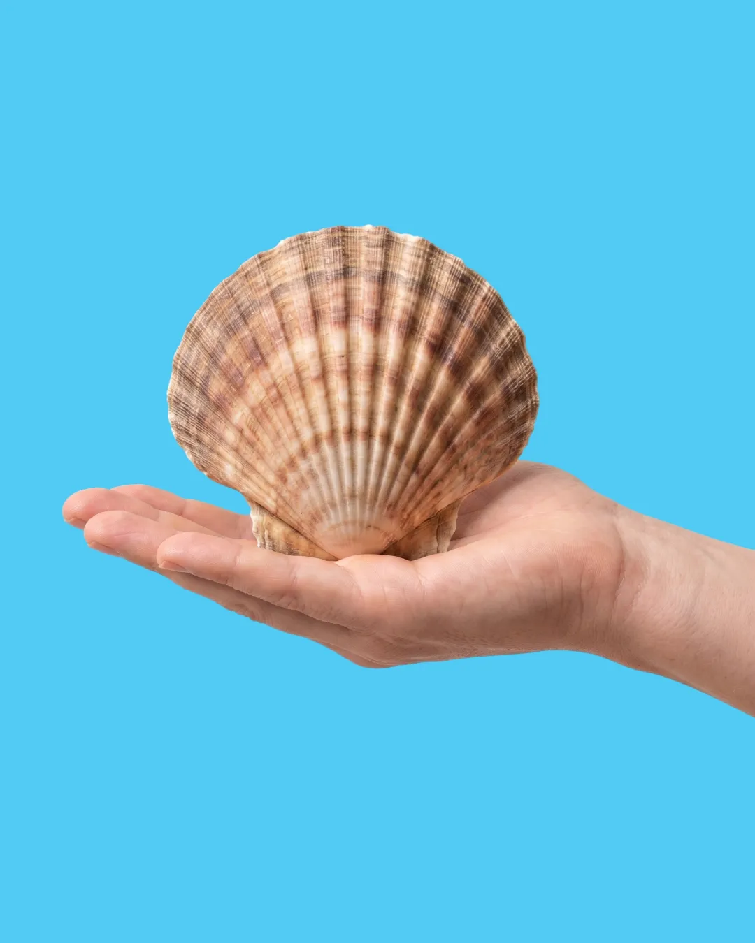 Donation-Go-Ocean