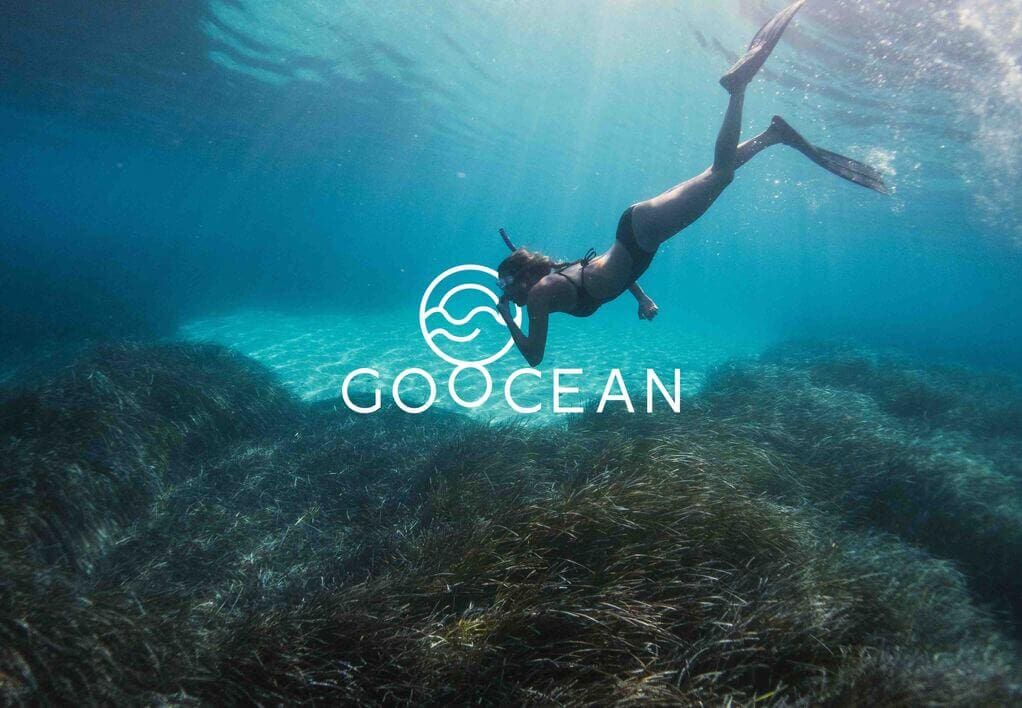 Go Ocean e-mail header