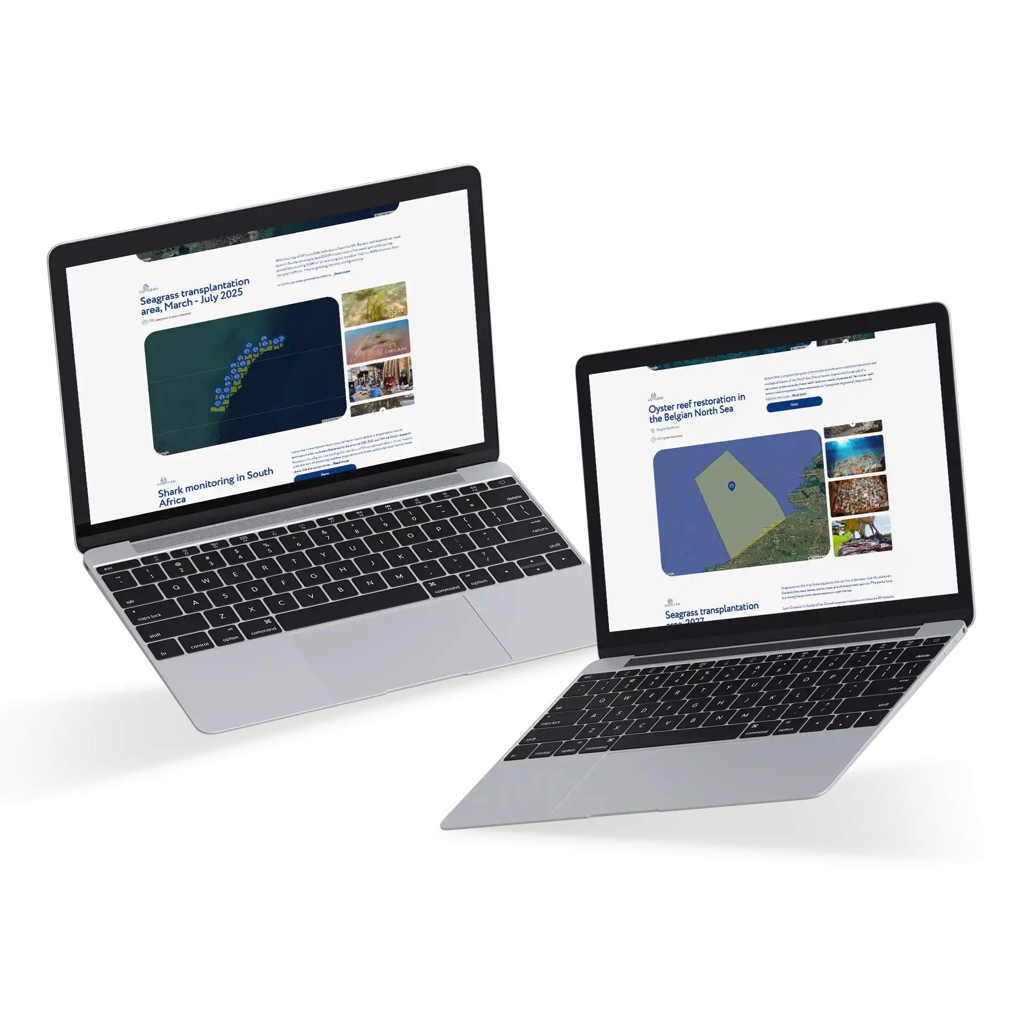 Impact dashboard satellite imagery